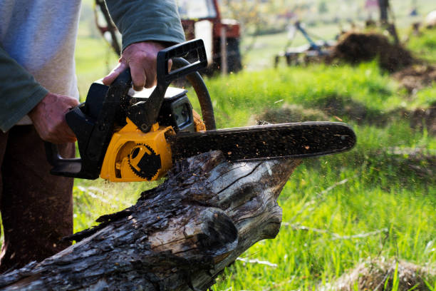 Best Soil Testing and Treatment  in Waterville, MN